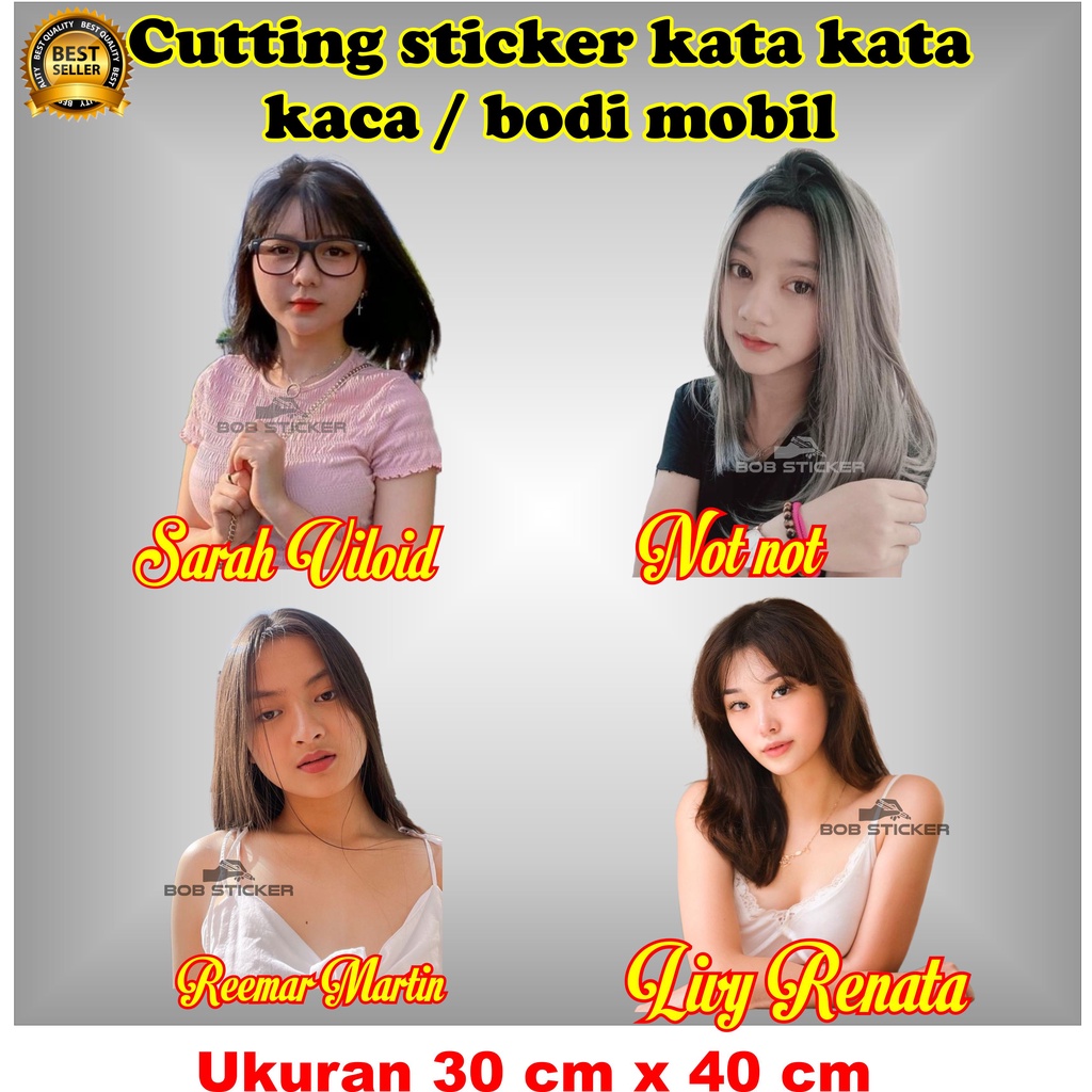 Jual stiker viral, stiker pintu mobil, stiker kaca mobil, stiker cewek ...