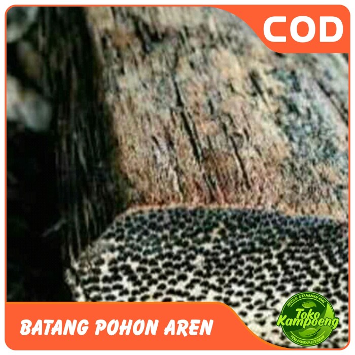 Jual Belahan Kayu Ruyung atau batang kayu pohon aren kuat - 10cm ...