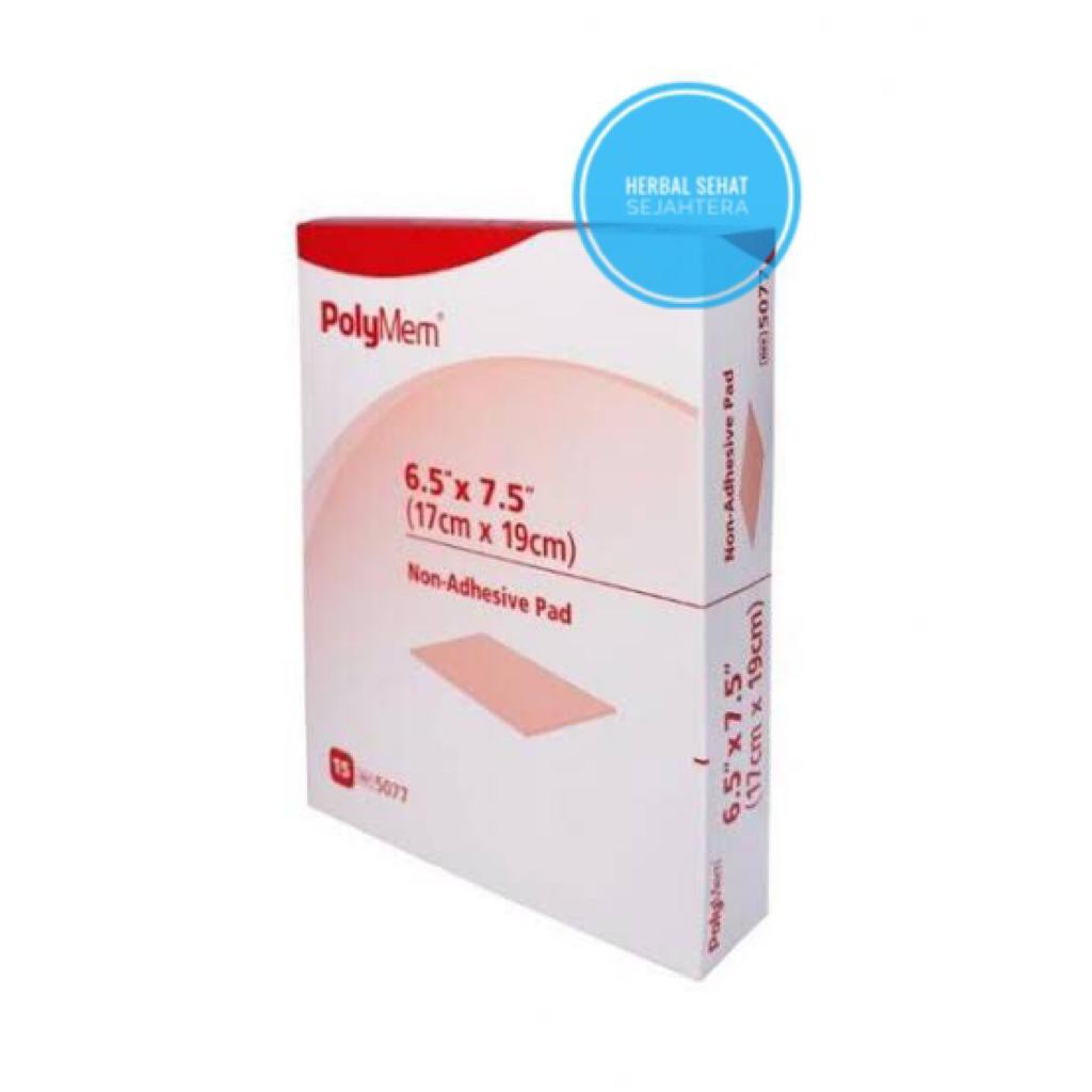 Jual POLYMEM NON ADHESIVE Polymem Non Adhesive 17x19cm Per Lembar ...