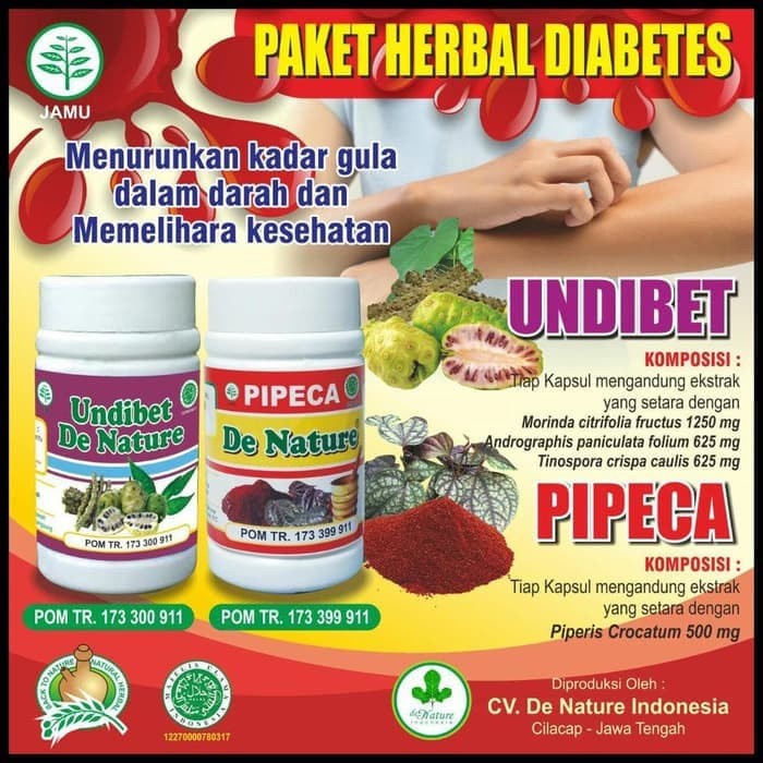 Jual Obat Gula Basah Gula Kering Ampuh Herbal Undibet Pipeca Obat