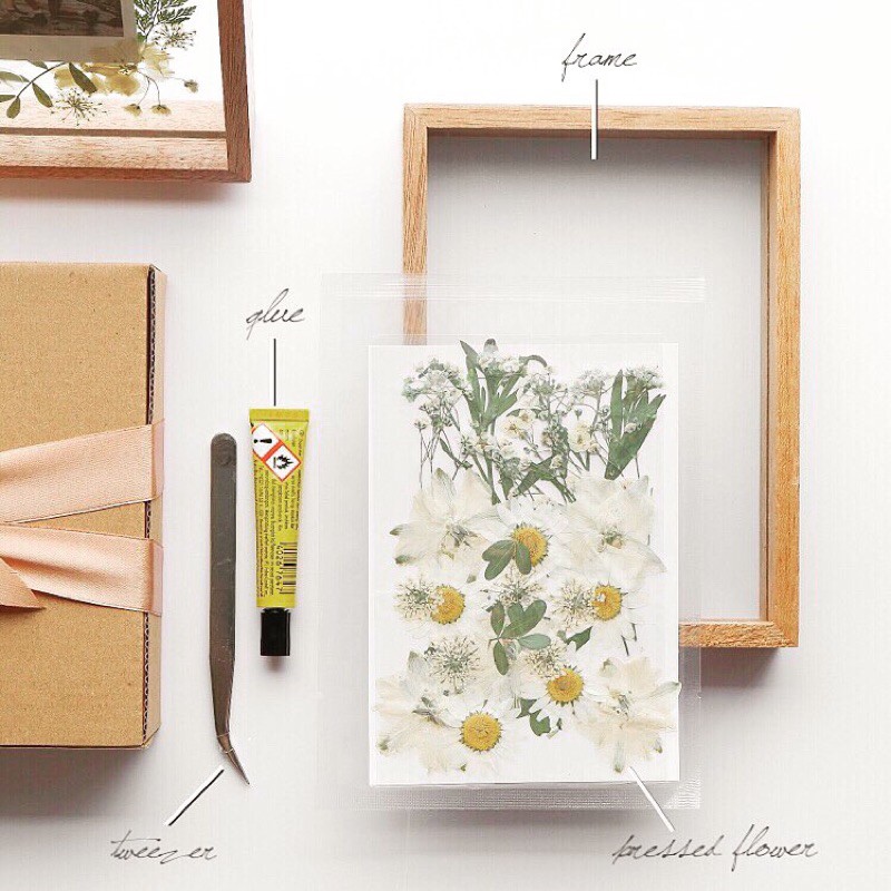 Jual DIY KIT “pressed flower” Shopee Indonesia