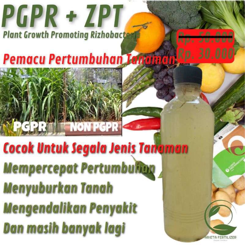 Jual Pupuk Organik Cair POC PGPR Bakteri Rizhobium, Agen Hayati ...