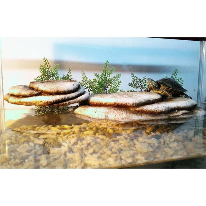 Jual TR001 TEMPAT JEMUR BASKING SPOT RAMP ISLAND TANGKRINGAN REPTILE ...