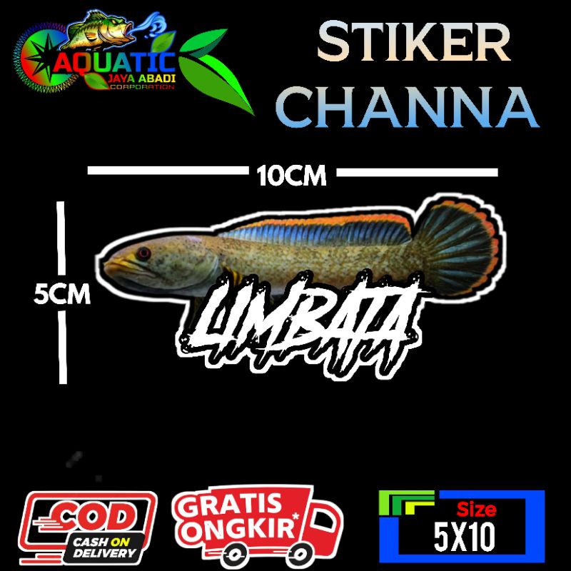 Jual Stiker Channa Limbata | Shopee Indonesia