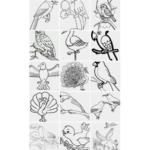 Jual Kertas Gambar Sketsa Hewan Burung Untuk Mewarnai Anak TK | Shopee