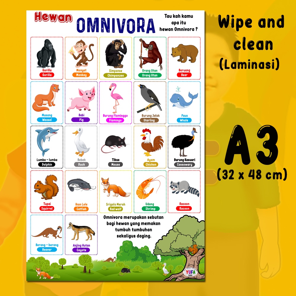 Jual 106 poster hewan omnivora - Poster belajar anak - Poster wipe and