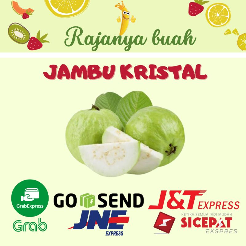 Jual Jambu Kristal SUPER (Grade A) Shopee Indonesia