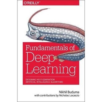 Jual Buku Fundamentals Of Deep Learning: Designing Next-Generation ...