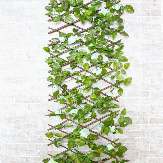 Jual Pagar ranting kayu+daun rambat | Shopee Indonesia