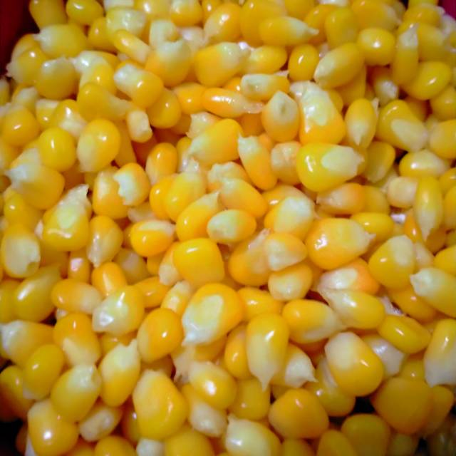 Jual Jagung Manis Pipil Madu Sweet Corn Kg Jagung Jasuke Jagung Pipil Kg Shopee Indonesia