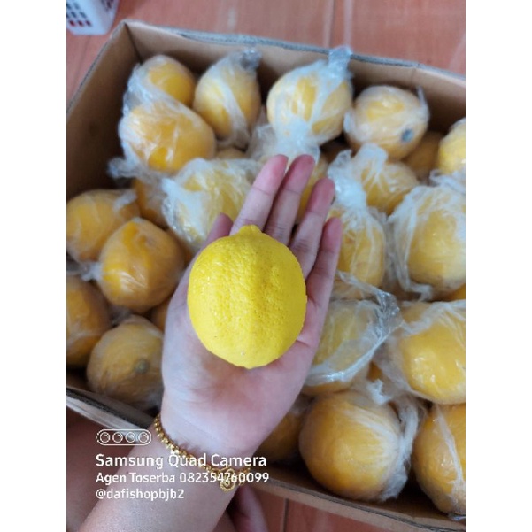 Jual Cod Kg Aneka Buah Buahan Segar Import Dan Lokal Mangga Madu Mangga Alpukat Klonal Clonal