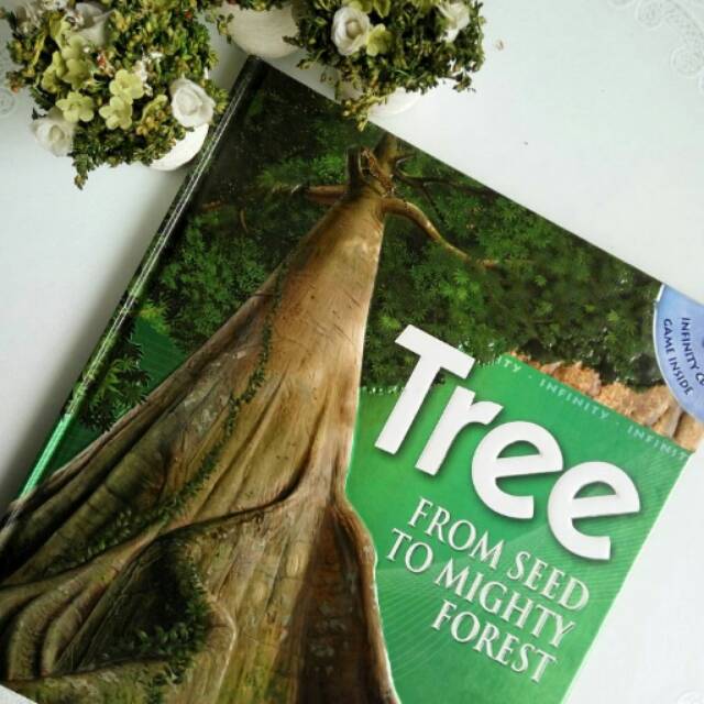 Jual Tree From Seed to Mighty Forest | Shopee Indonesia