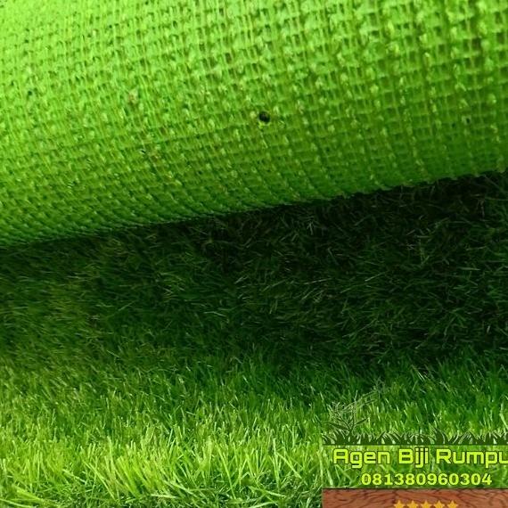 Jual Murah Karpet Rumput Sintetis Swiss 200Cm X 100Cm - Rumput Palsu ...