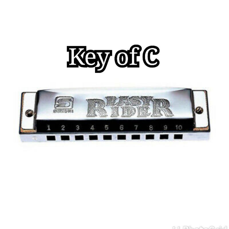 Jual SUZUKI EASY RIDER HARMONICA 10H EZR-20-BS | Shopee Indonesia