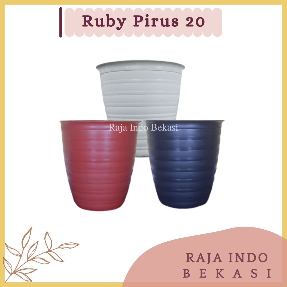 Jual Pot Ruby Pirus Putih Hitam Merah Bata Pot Tawon Pirus Tirus Cm Putih