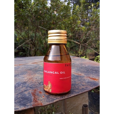 Jual 50 ml - minyak atsiri lengkuas - laos / galangal essential oil ...