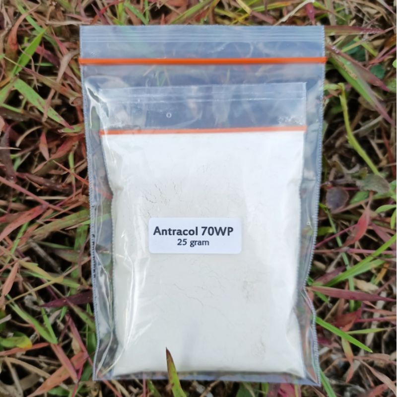 Jual 25 gram - Fungisida Antracol 70 WP Zinc Pengendali Hama Tanaman ...