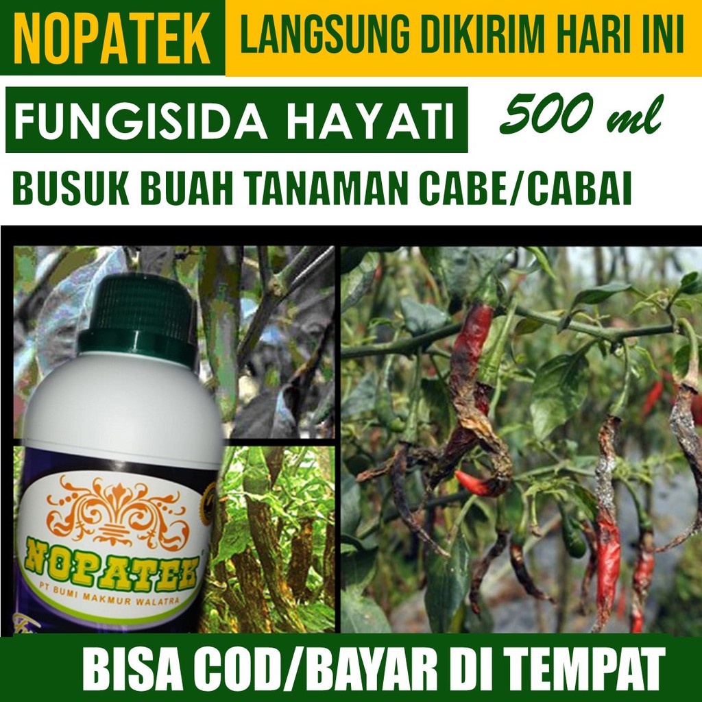 Jual Promo Nopatek 500 Ml Fungisida Hayati Mengobati Busuk Buah Dan