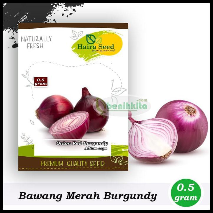 Jual Benih Bibit Bawang Merah Red Burgundy Haira Seed Shopee Indonesia