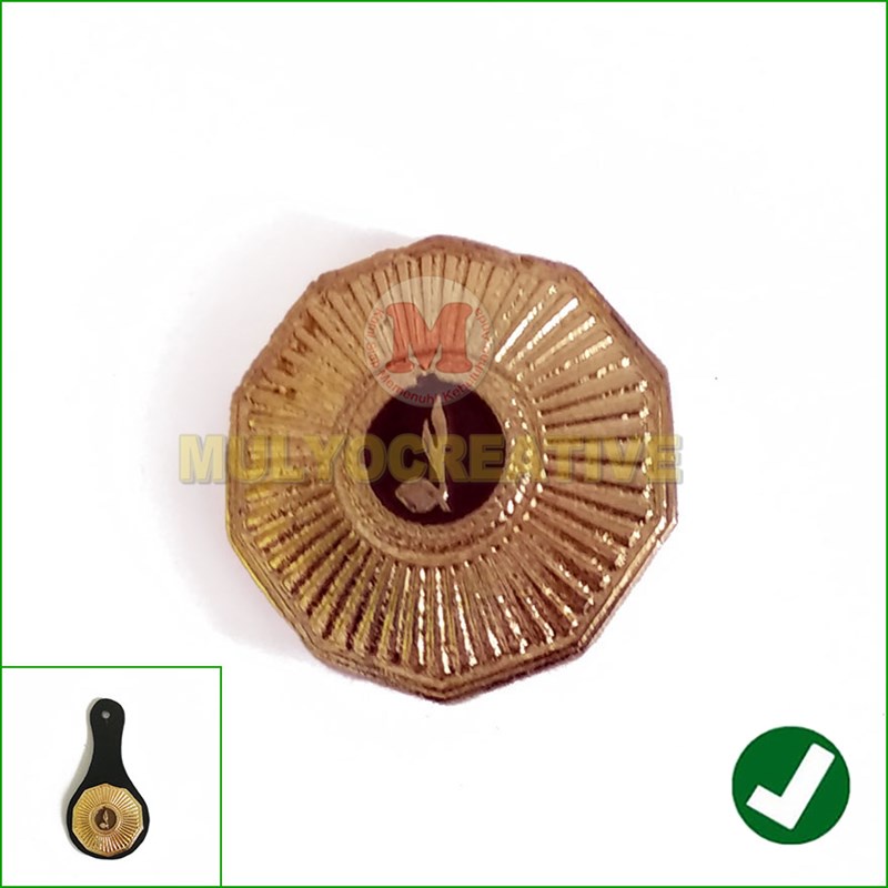 Jual Pin Cor Andalan Ranting Warna Coklat - Tanda Jabatan Pramuka ...