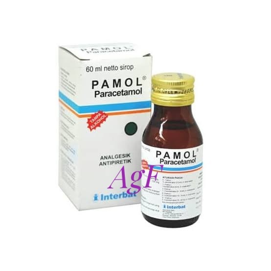 Jual Pamol Syrup 60 mL (Interbat) | Shopee Indonesia