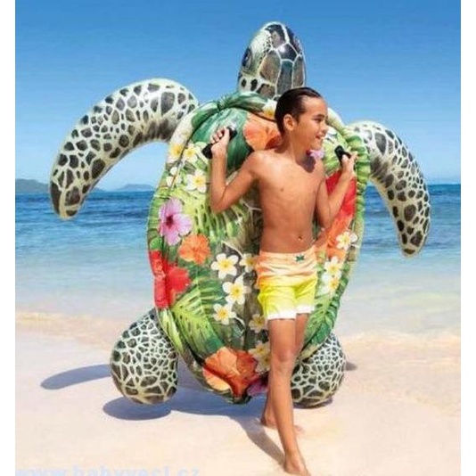 Jual Pelampung Intex Kura Kura Turtle Floaties Ride On Mainan Kolam ...