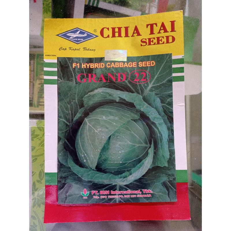 Jual BENIH KUBIS GRAND 22 CABBAGE F1 15gram | Shopee Indonesia