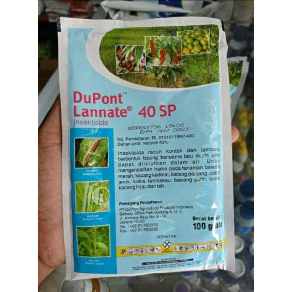 Mushuk internetda paydo boldi