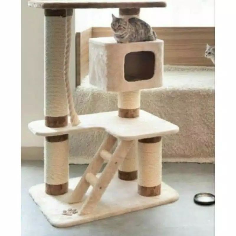 Cat best sale condo shopee