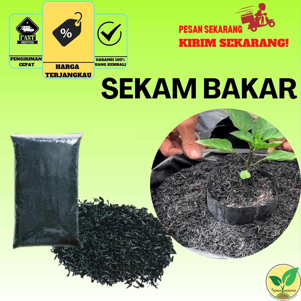 Jual Arang Sekam Media Tanam Organik 1 Kg Shopee Indonesia 8945