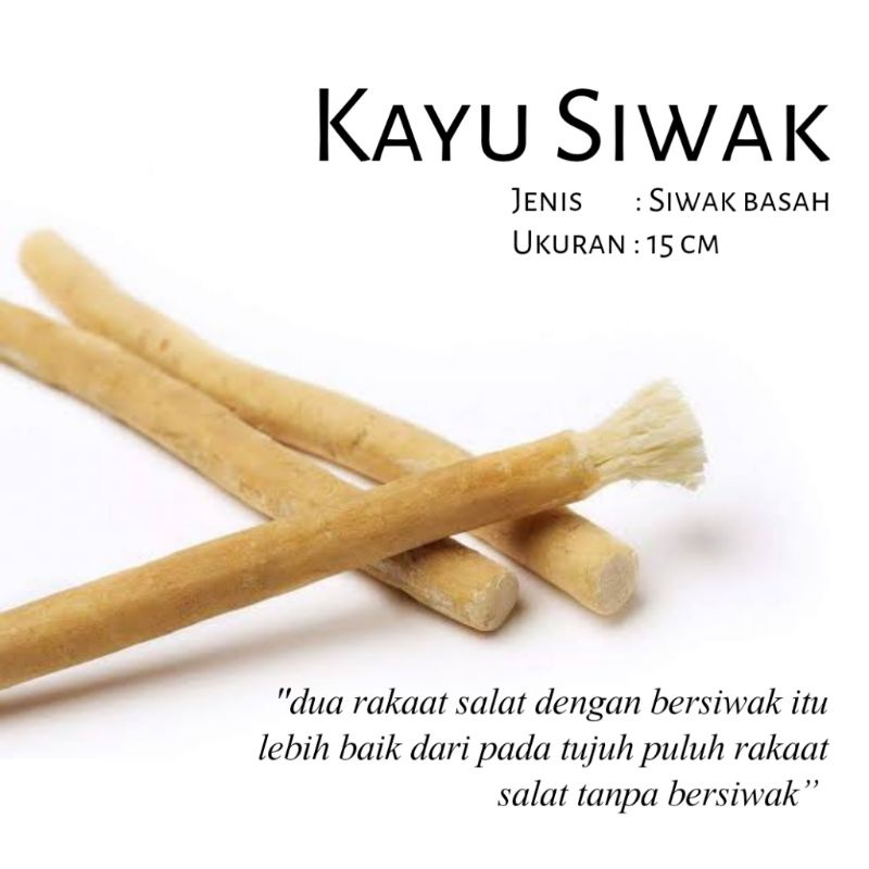 Jual Siwak Sewak Miswak Siwak Sunnah Siwak Basah 15cm Shopee