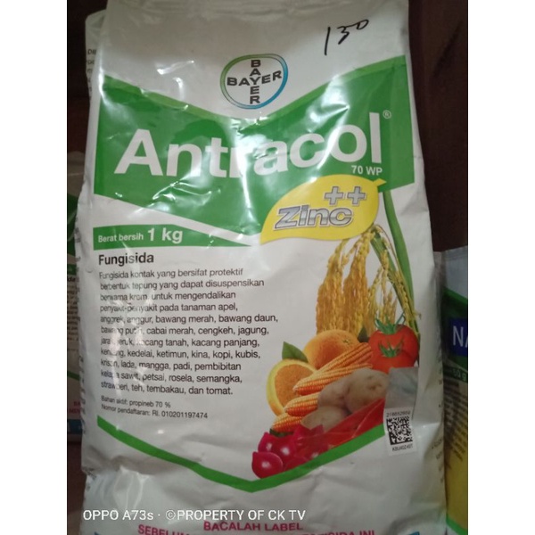 Jual Antracol Fungisida Zinc Wp Kg Shopee Indonesia