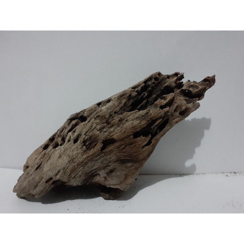 Jual kayu aquascape kayu rentek akar santigi asli 30x10x10cm driftwood ...