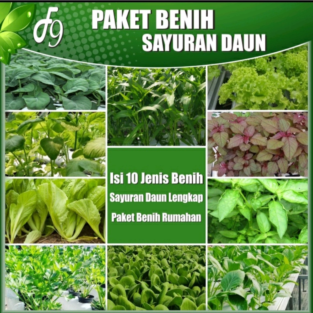 Jual Paket Benih Bibit Sayuran Daun Lengkap 10 Jenis Benih Sayuran