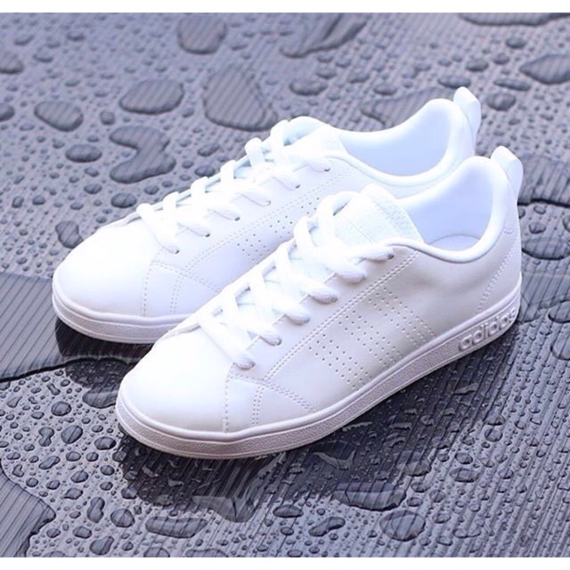 adidas neo advantage clean white