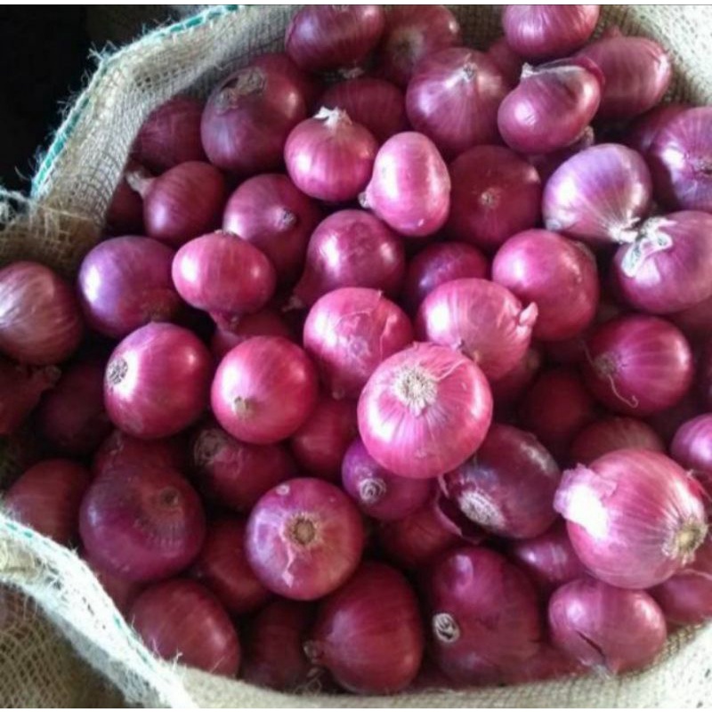 Jual Bawang Merah India Impor Kemasan 500gr Shopee Indonesia