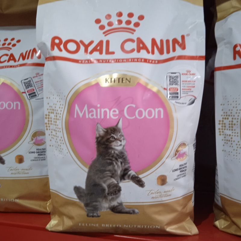Royal canin maine coon kitten 2kg sales