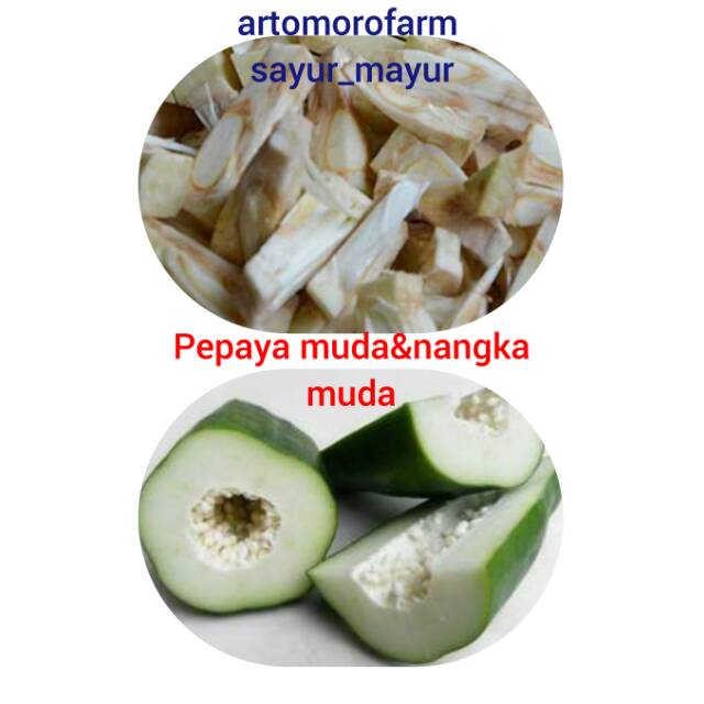 Jual Nangka Muda Pepaya Muda Perkg Perbuah Shopee Indonesia