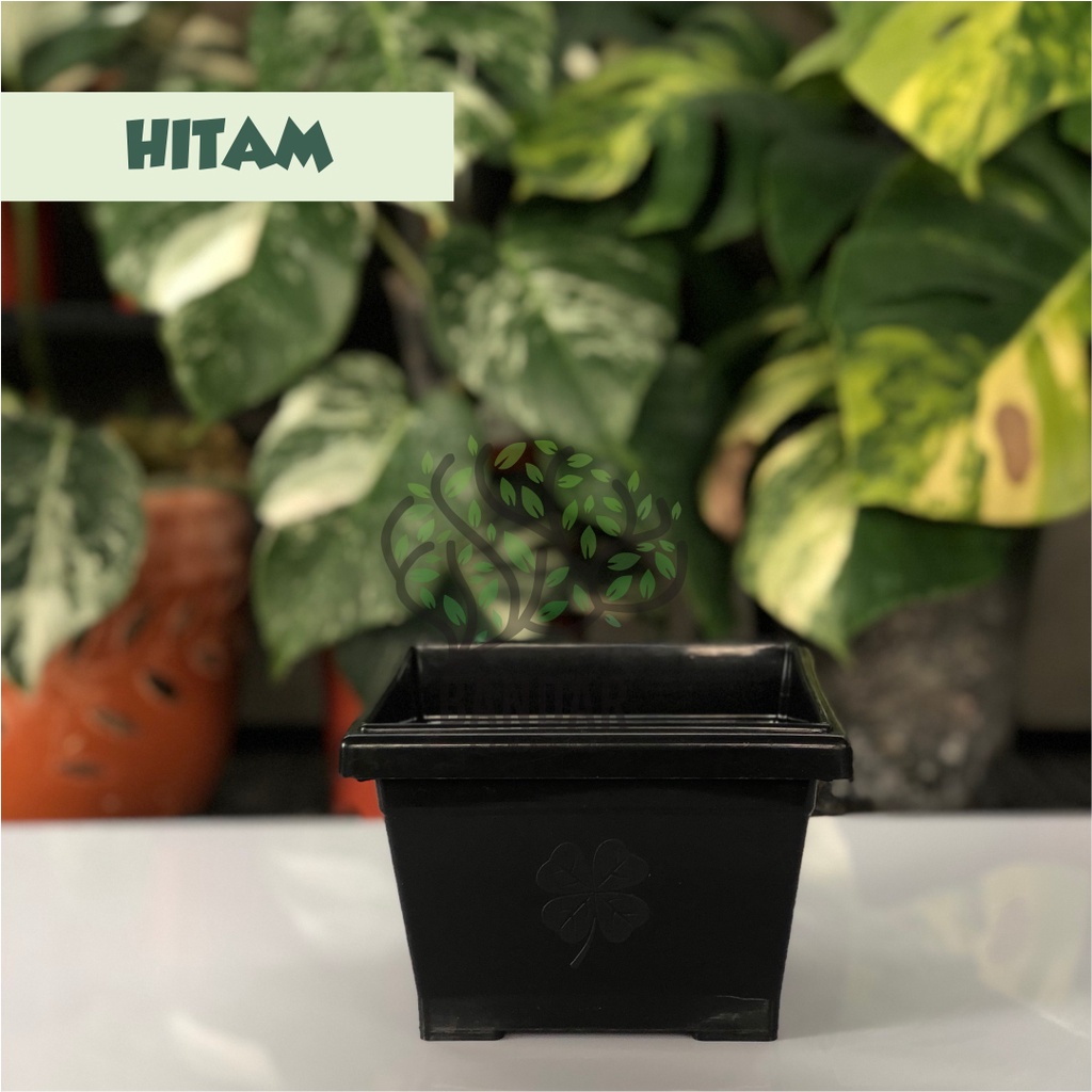 Jual SP Pot Segi Hias Tanaman Bunga Ukuran 20 Hitam Merah Bahan Plastik ...