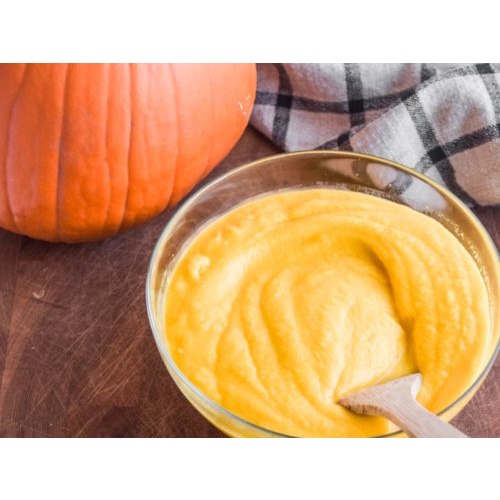 Jual Pumpkin Puree For Dogs / Cats | Labu Makanan Anjing / Kucing Fresh ...