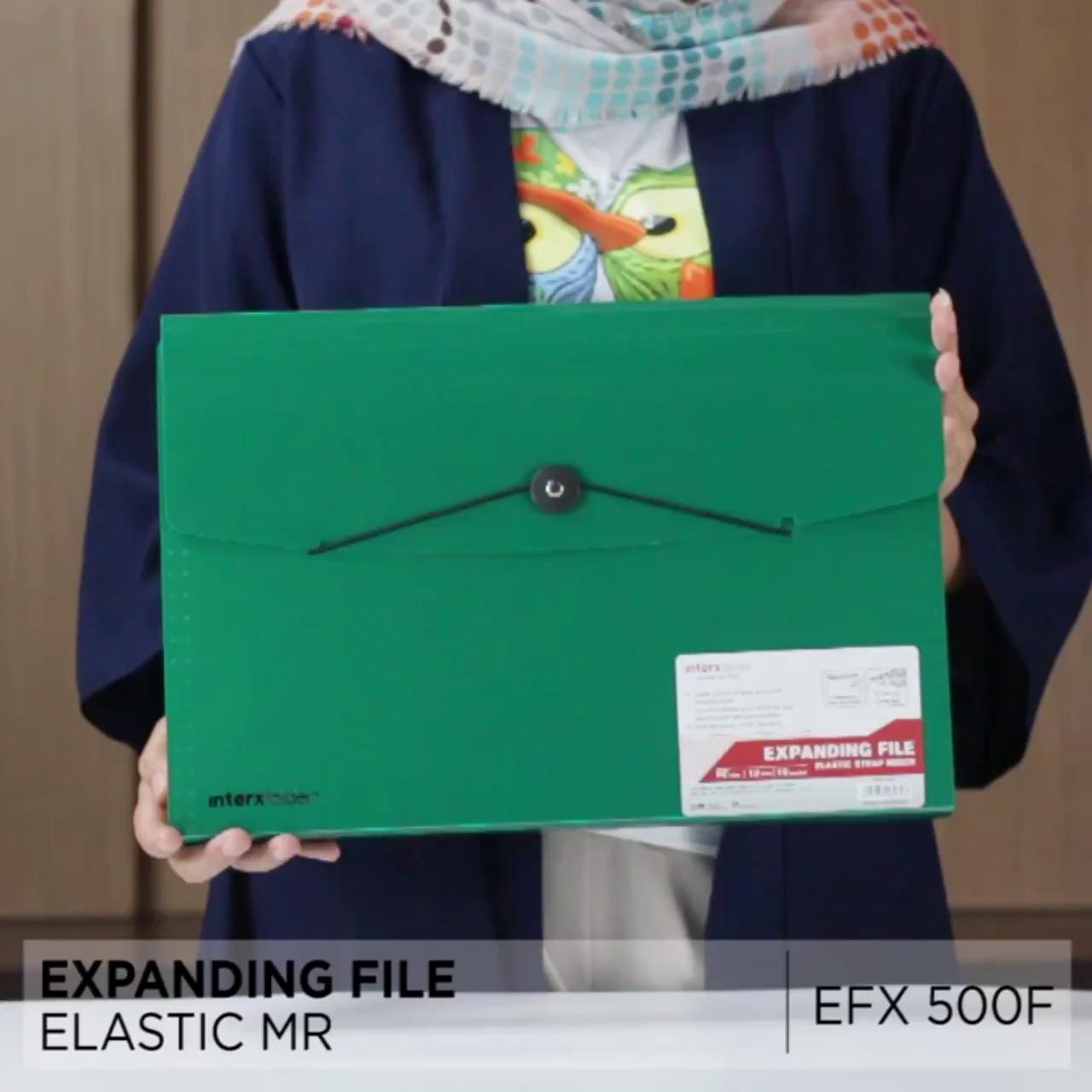 Jual InterX Folder Expanding File Organizer Elastic Glossy / Map ...