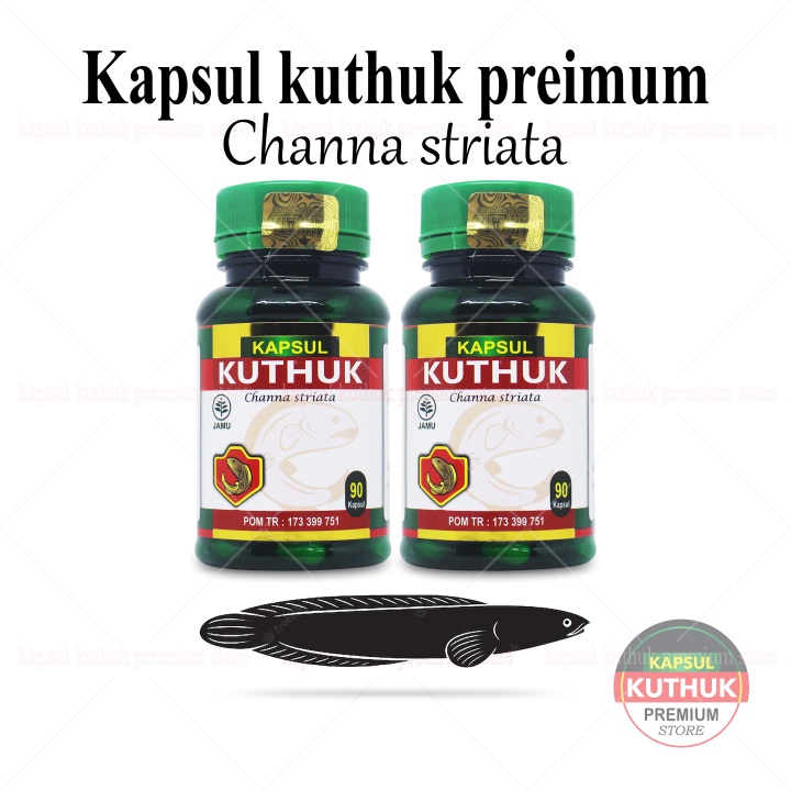 Jual Obat Penyembuh Luka Kapsul Kutuk Premium Asli 100 Original