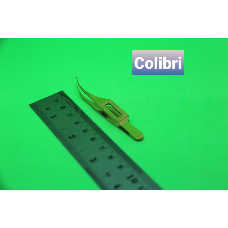Jual Colibri Stainless | Shopee Indonesia