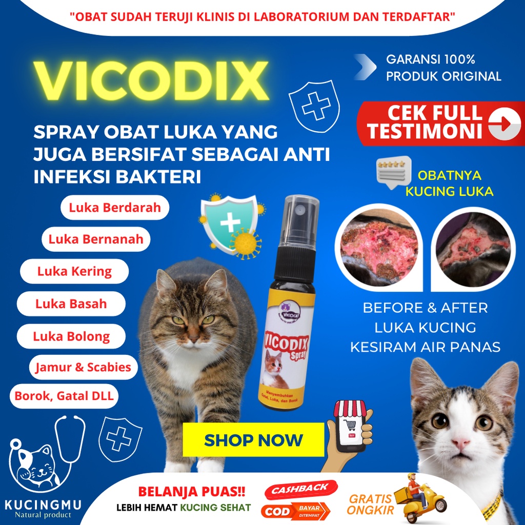 Jual Obat Luka Kucing Vicodix Untuk Mengobati Semua Jenis Luka Luar