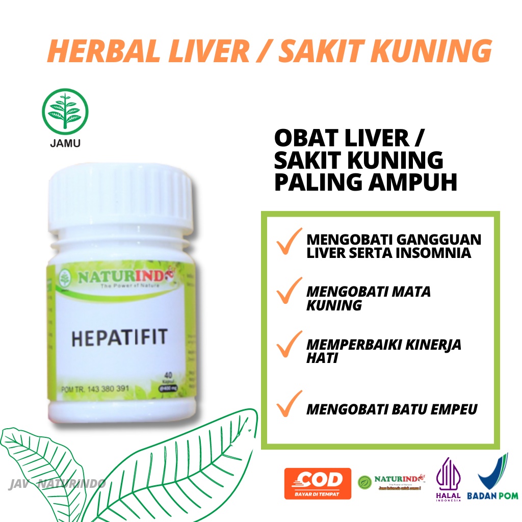 Jual Hepatifit Obat Liver Hepatitis A B C Radang Bengkak Sirosis Sakit ...