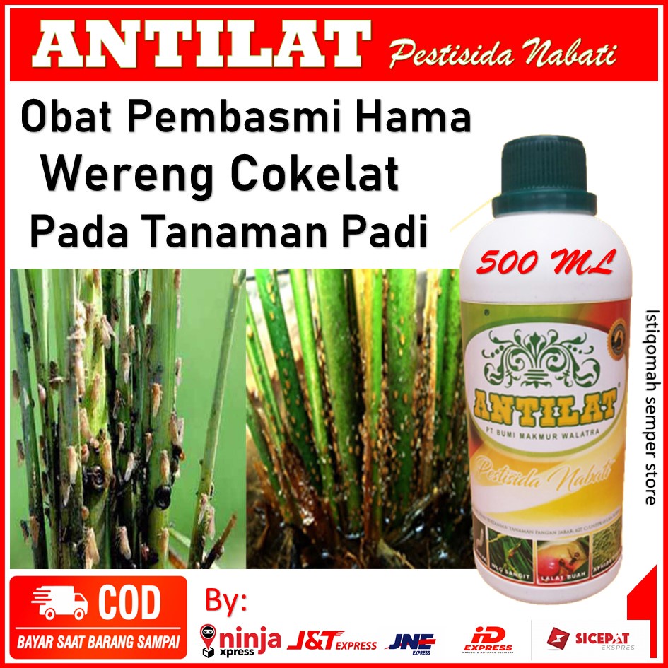 Jual Pestisida Antilat Obat Pembasmi Hama Wereng Cokelat Sangat Ampuh Insektisida Pestisida