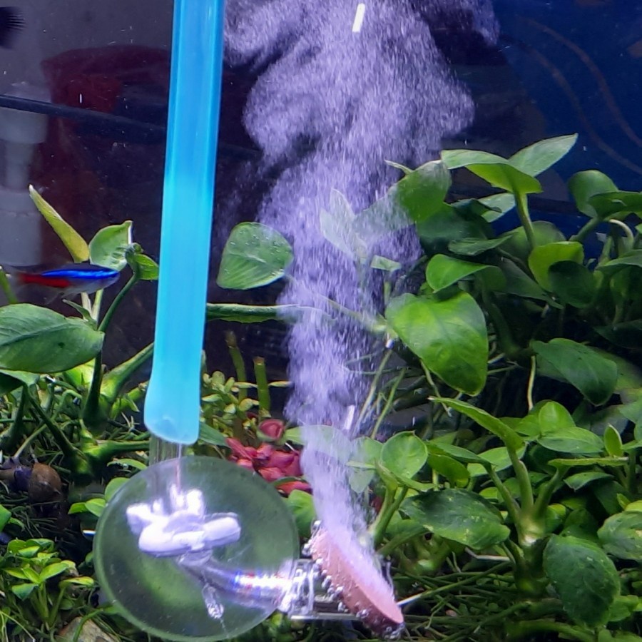 Jual mini Co2 Diffuser / Diffuser Co2 Diy / Diffuser Co2 Aquascape ...