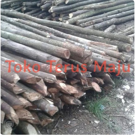 Jual Kayu Dolken Ukuran 6/8 untuk proyek - Dolken Cerucuk - Harga per