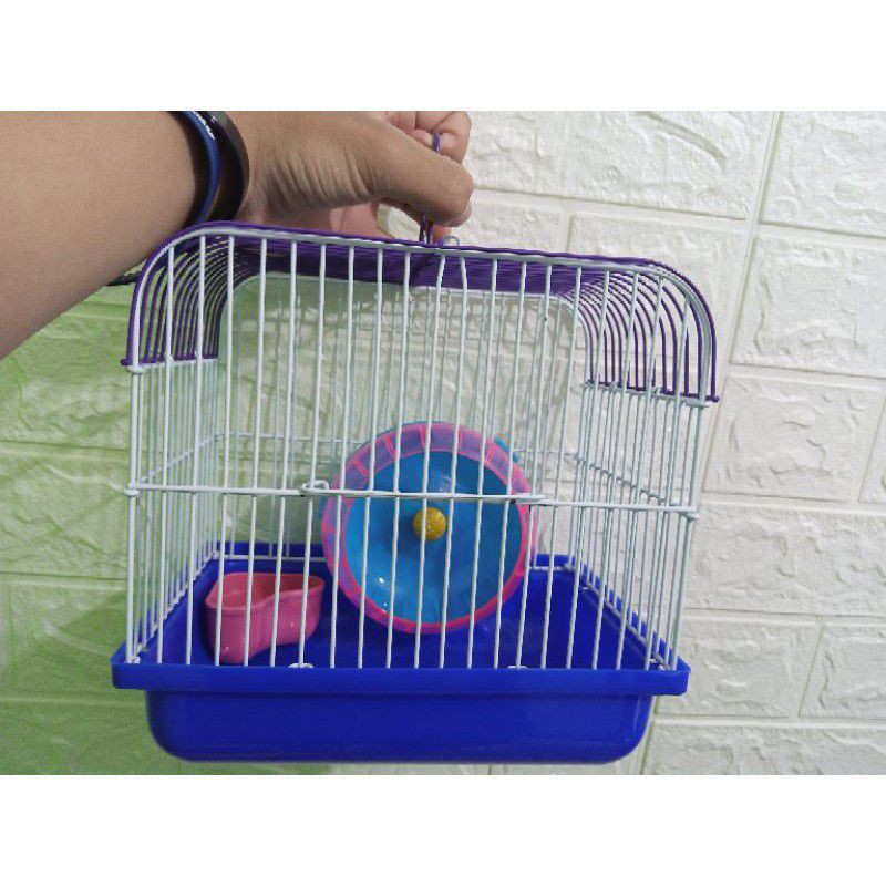 Jual Kandang Kotak Hamster Minimalis | Shopee Indonesia