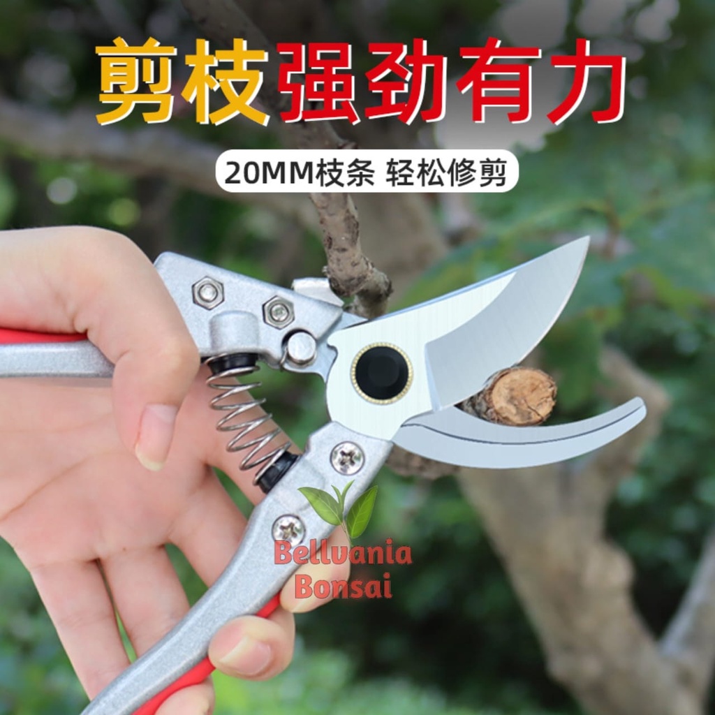 Jual Gunting Prunning Dahan Dan Ranting Kualitas Best Premium 21 Cm ...